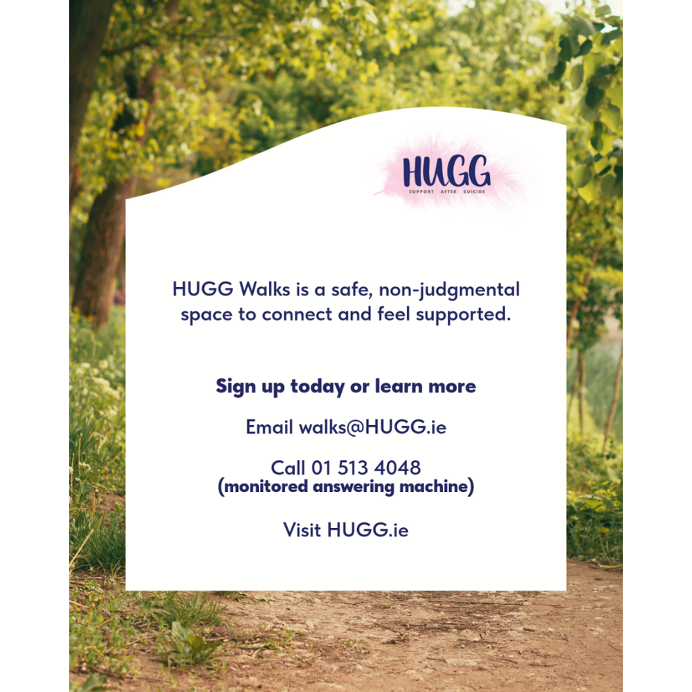 HUGG Walks Dublin New Years Day FB Linkedin 4