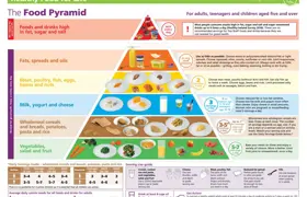 HAL01042 Adult Food Pyramid Poster Advice